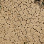 Vista aérea de solo desértico rachado, com poucas áreas de vegetação.