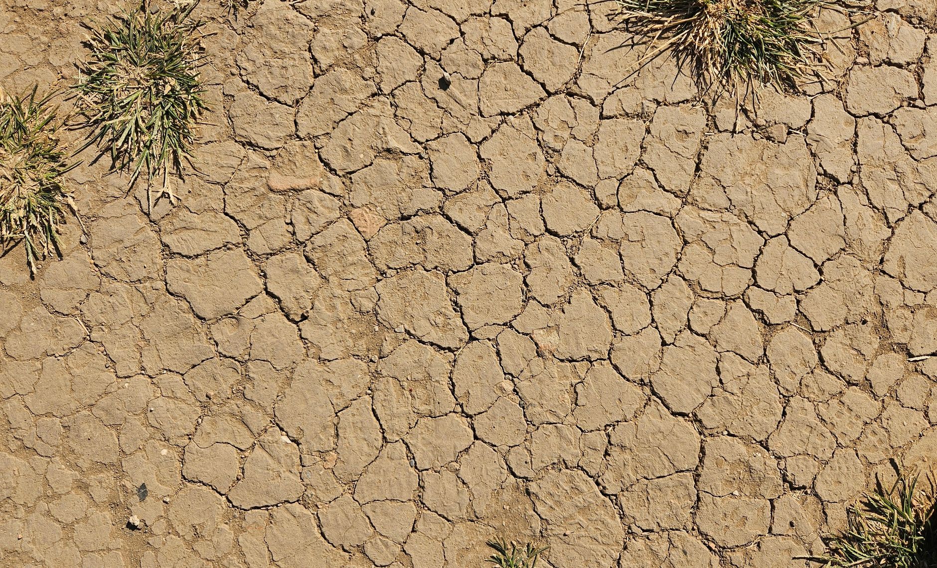 Vista aérea de solo desértico rachado, com poucas áreas de vegetação.