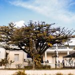 Fachada de um palácio governamental, com árvores, céu parcialmente nublado e detalhes arquitetônicos.