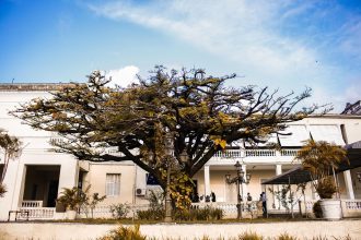 Fachada de um palácio governamental, com árvores, céu parcialmente nublado e detalhes arquitetônicos.