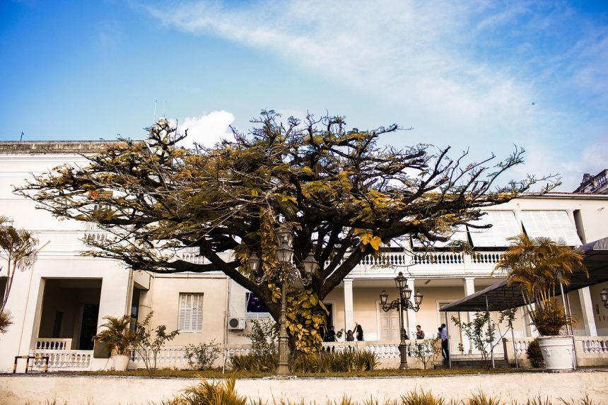 Fachada de um palácio governamental, com árvores, céu parcialmente nublado e detalhes arquitetônicos.